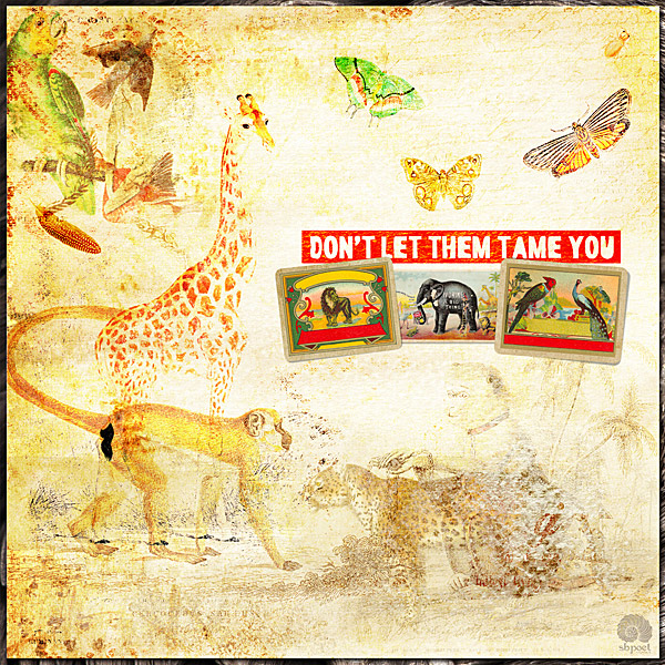 Don't Let Them Tame You