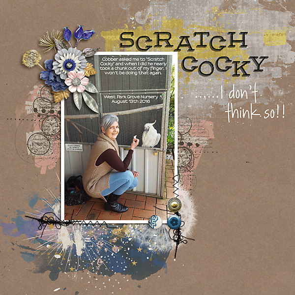Don't Scratch Cocky!