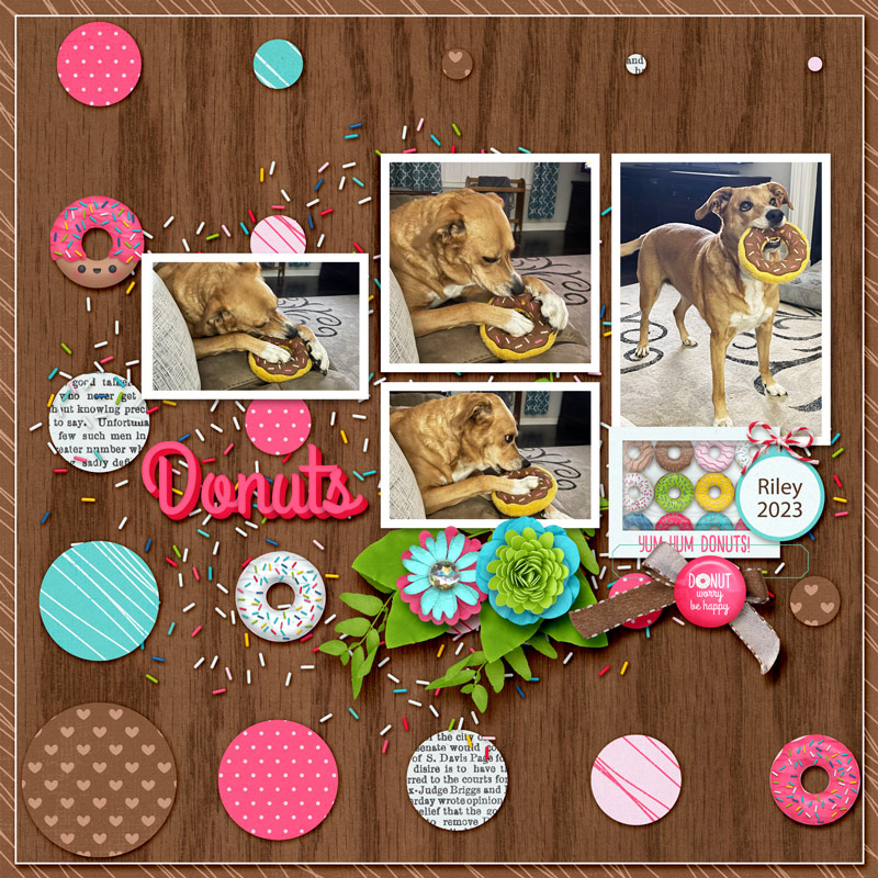 Donuts2023web