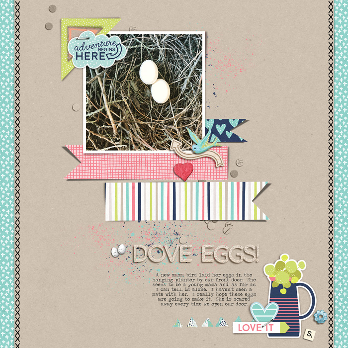Dove Eggs