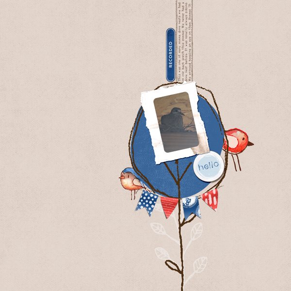 Dove Summer_web.jpg