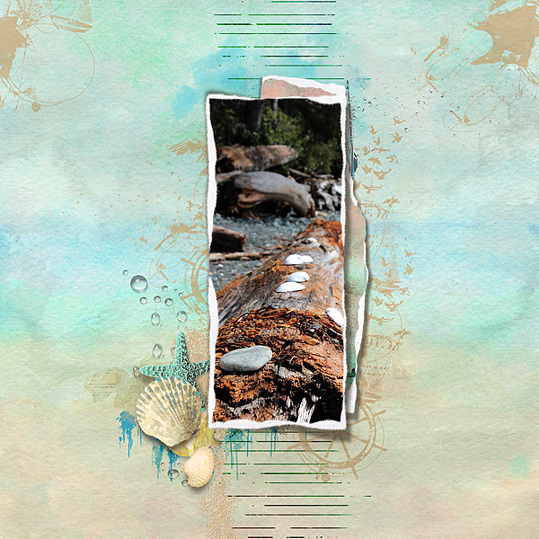 Down by the Shore