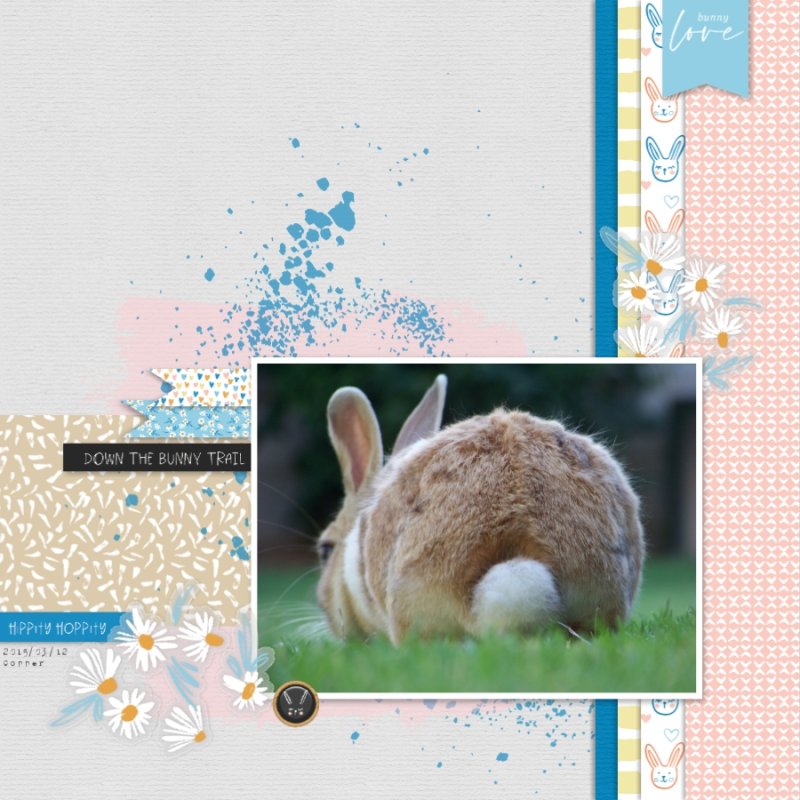 Down the bunny trail