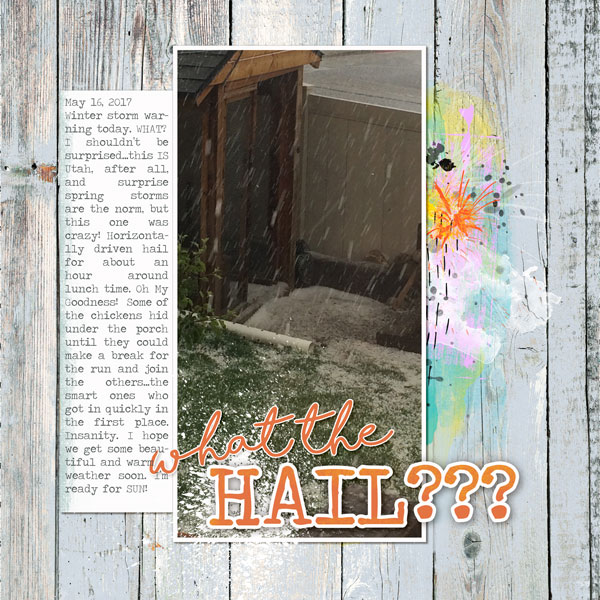 Dpd-whatthehailweb