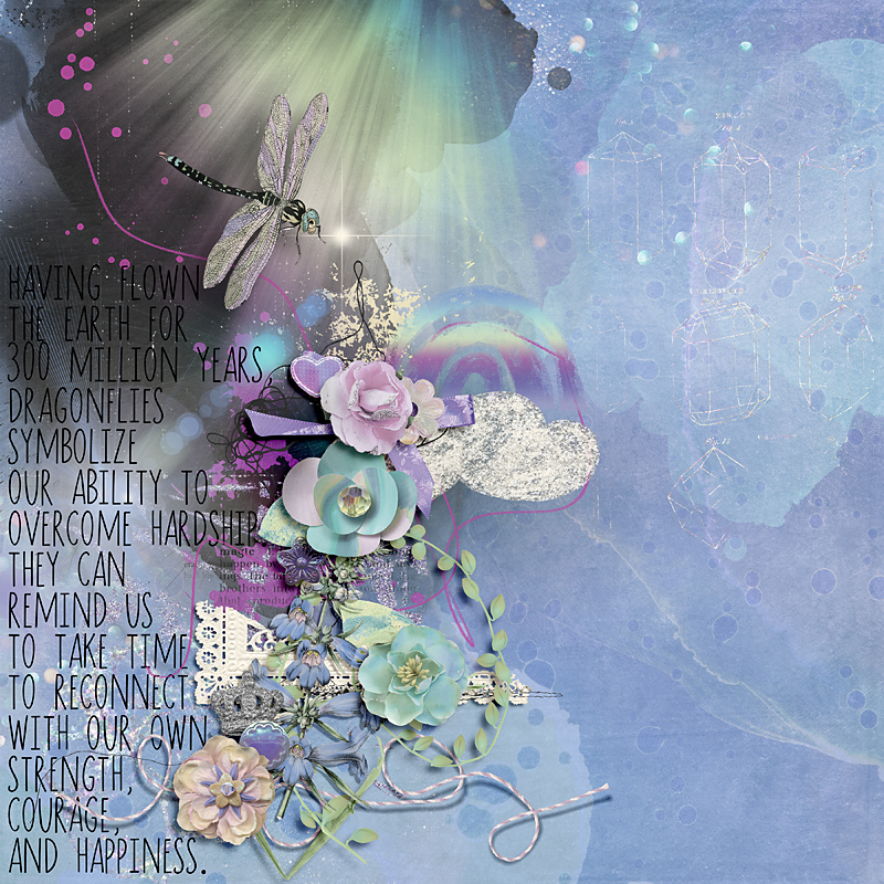 Dragonflies