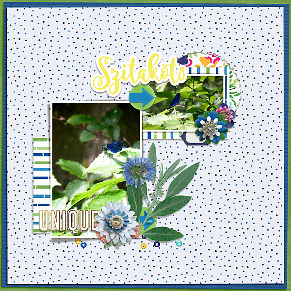 Dragonfly | Template Challenge