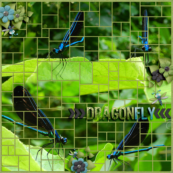 Dragonfly