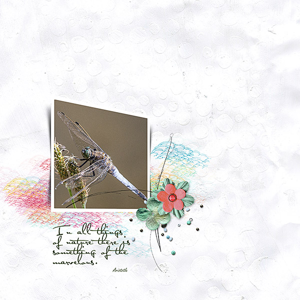 Dragonfly