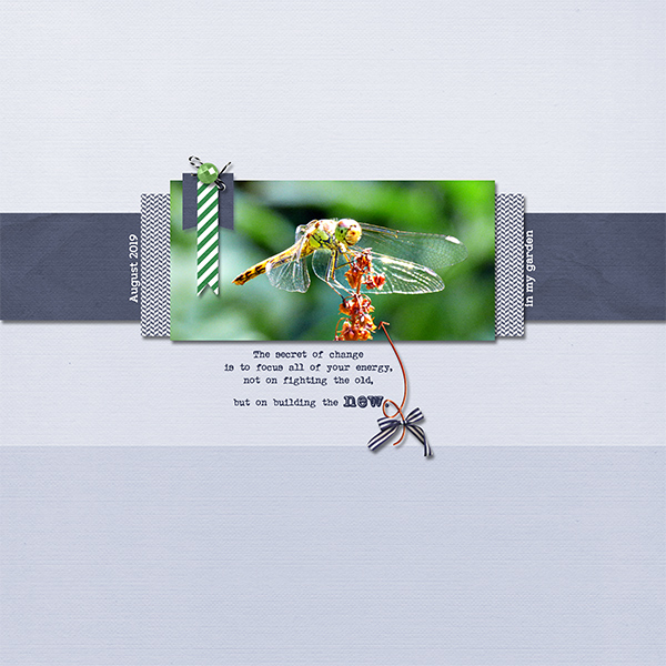 Dragonfly
