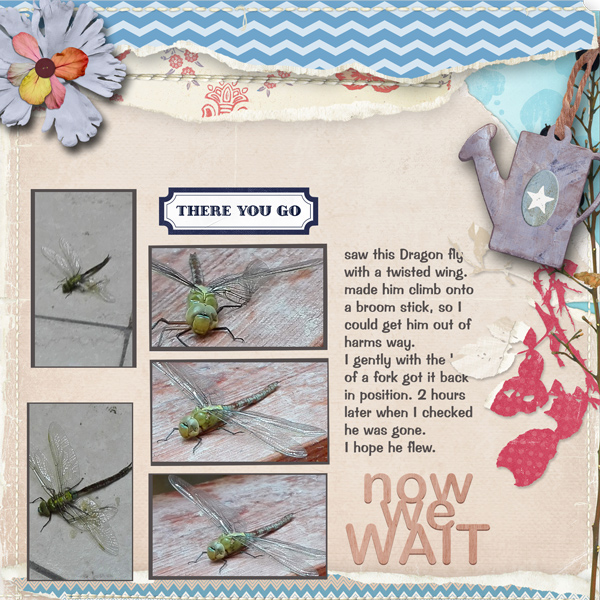 Dragonfly
