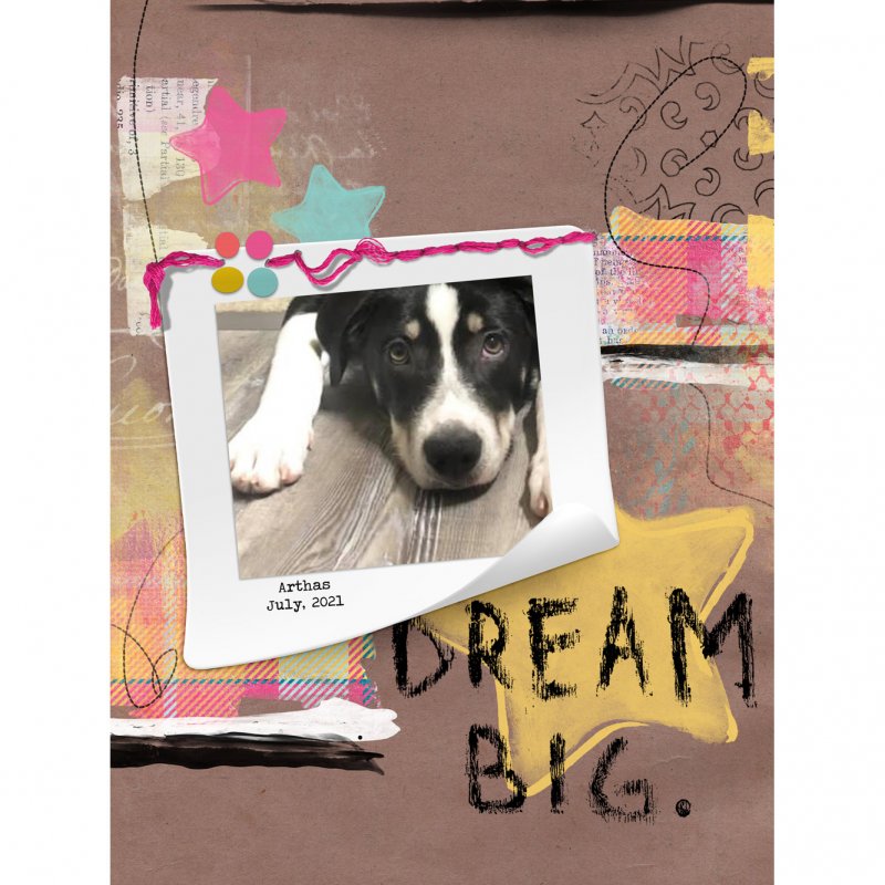 Dream Big