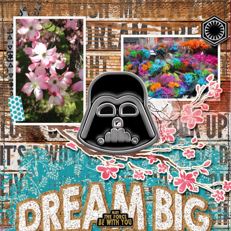 Dream Big