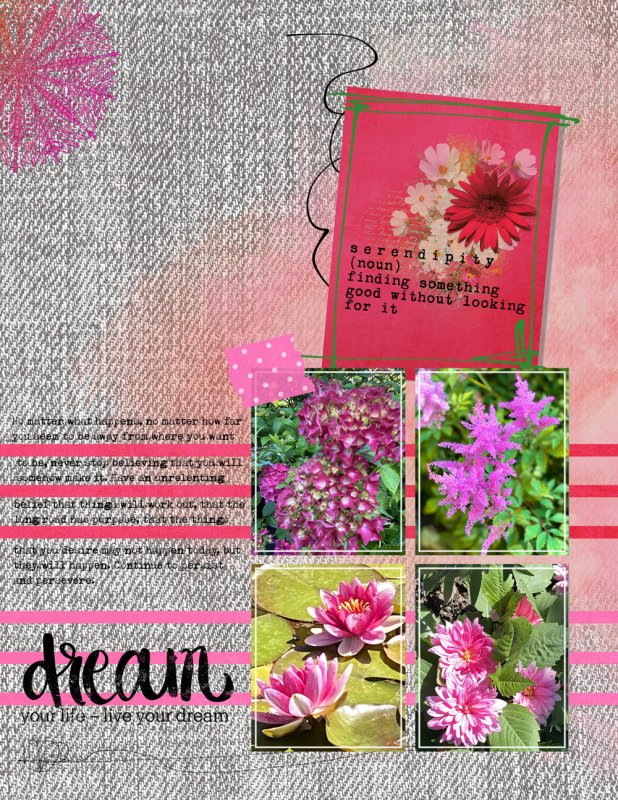 Dream