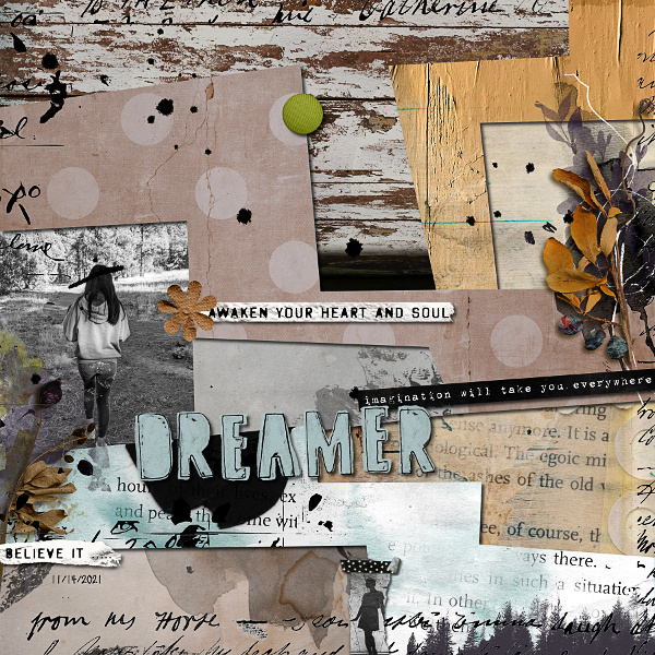 Dreamer
