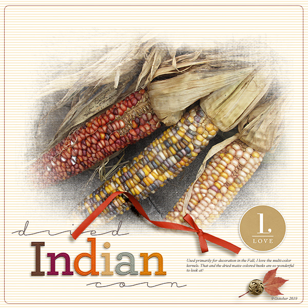 Dried Indian Corn