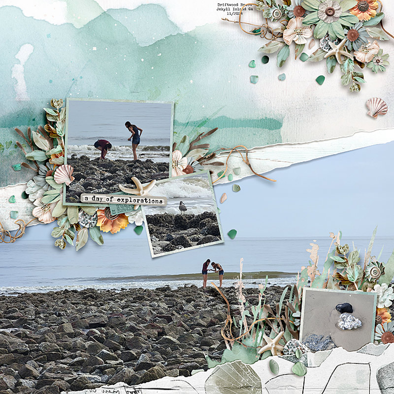 Driftwood Beach