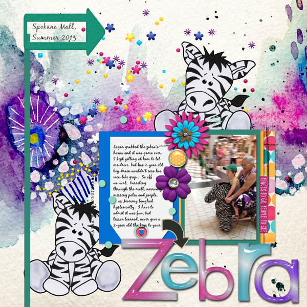 Driving Your Zebra