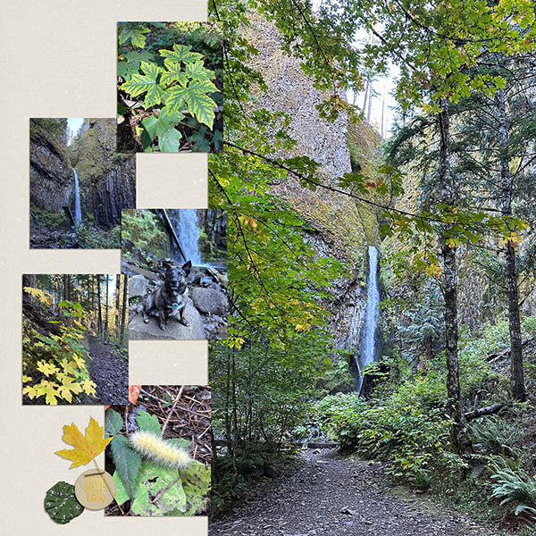 Dry Creek Falls