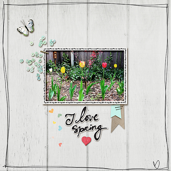 DSD Challenge - Tulips