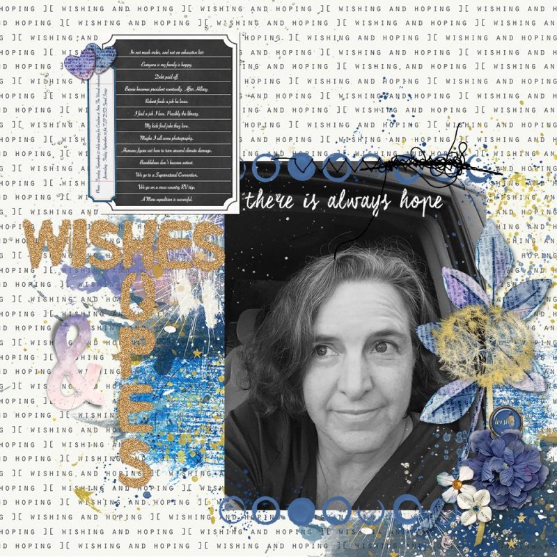 DSD Quick Slow Scrap - Wishes & Dreams