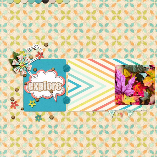 DSD Scraplift 2016