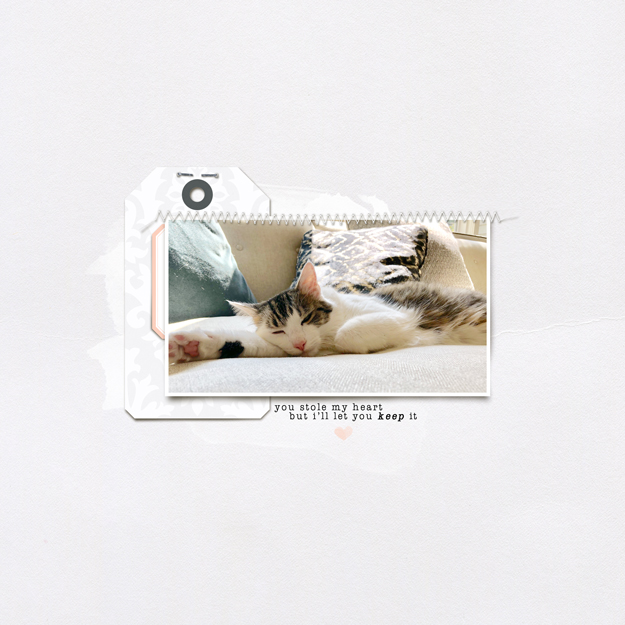 DSD-Slow-Scrap