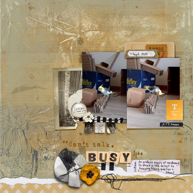 DSD-Speed-me- busy equals quiet & happy