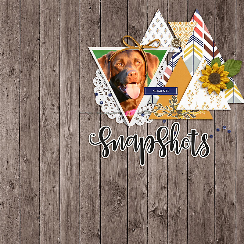 DSD Template Slow Scrap