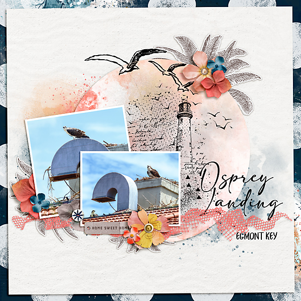 DSD2021-SlowScrap_OspreyLanding