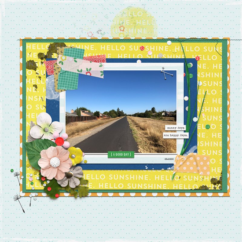 DSD2022RC-Walk