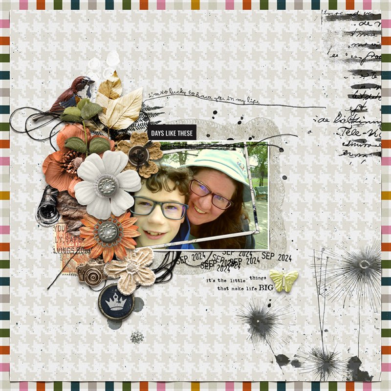 DSD2024-Polly