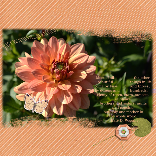 Dsd_crejourn