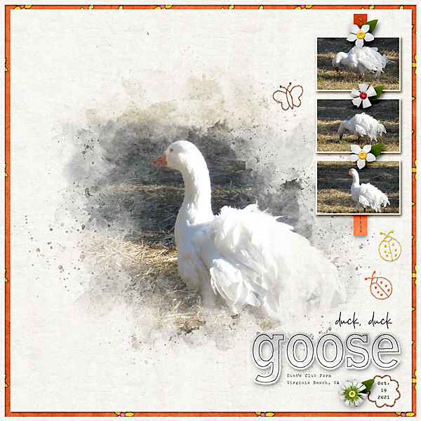 duck, duck Goose