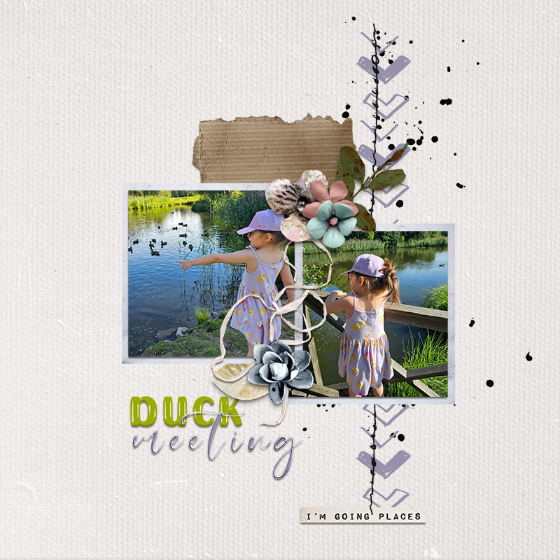 Duck meeting