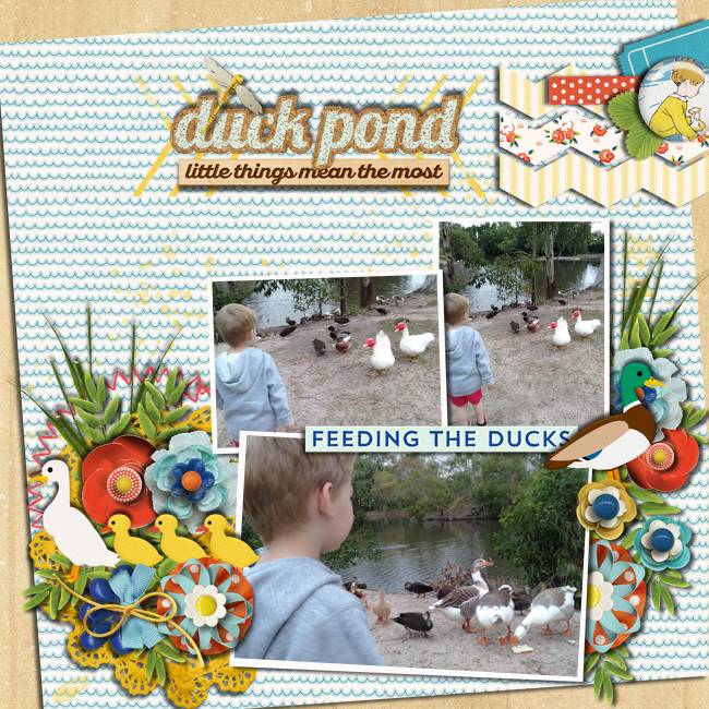 Duck-pond