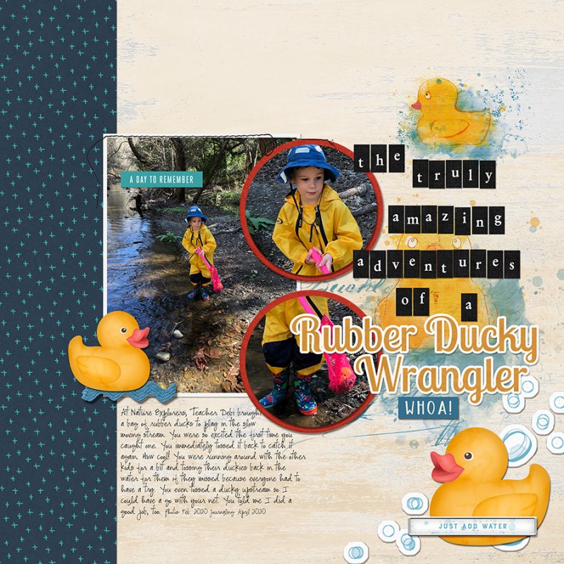 DuckHunt042020SC