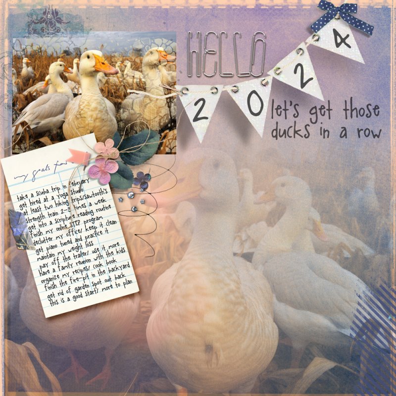 Ducks-in-a-row