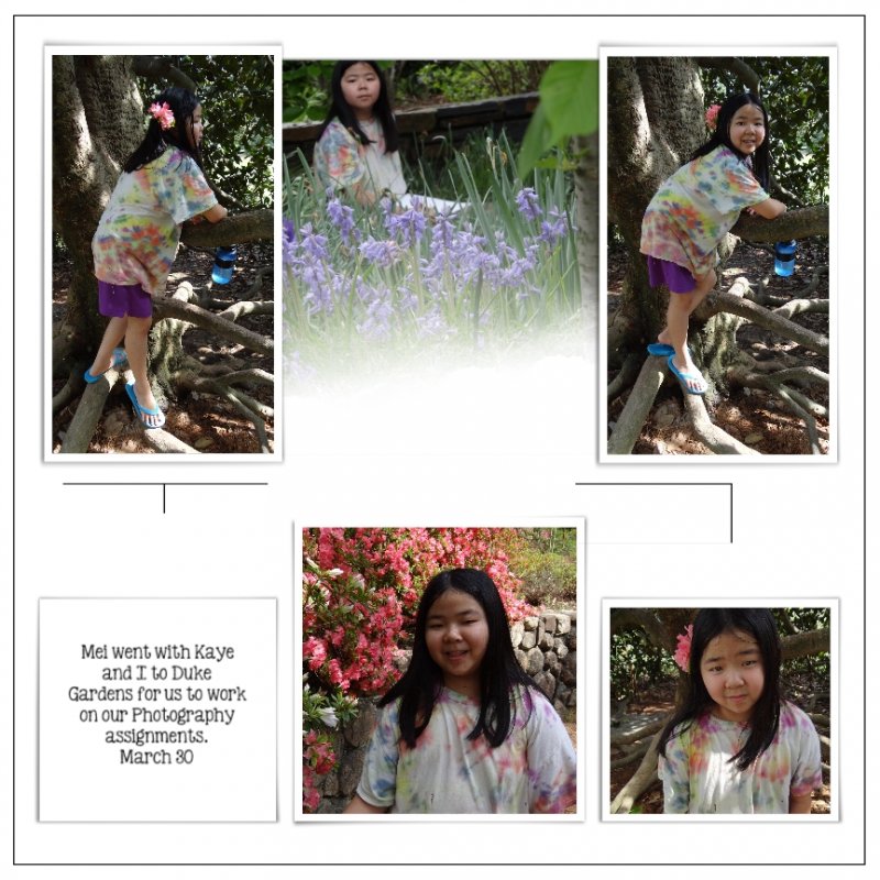 Duke Gardens - right page