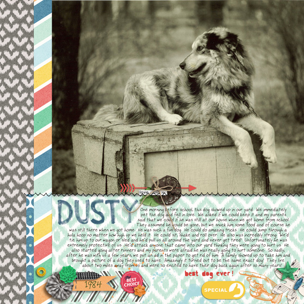 Dusty (my old dog)