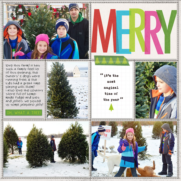 DYD 2013 - tree farm