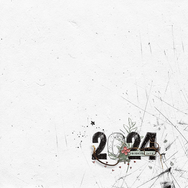 DYD 2024 Album Cover