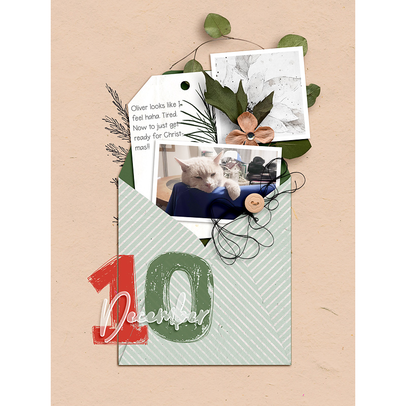 DYD 2024 | Dec-10