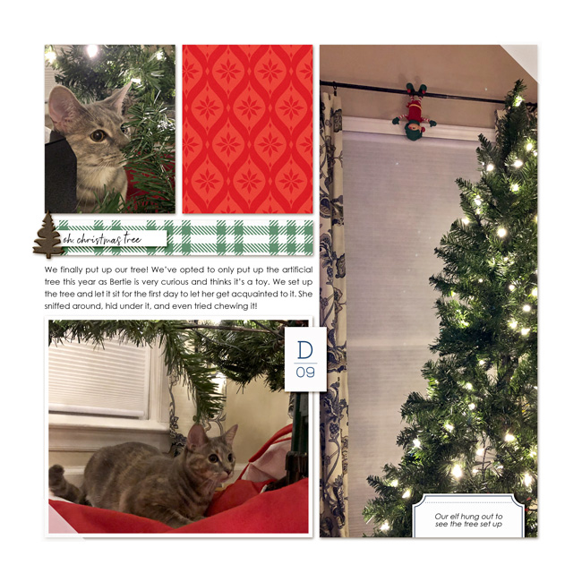DYD - 9 December 2019