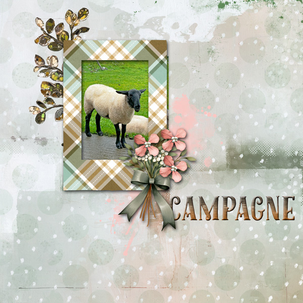 DYD Slow Scrap