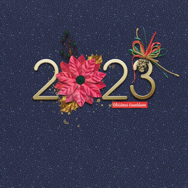 DYD2023-Cover