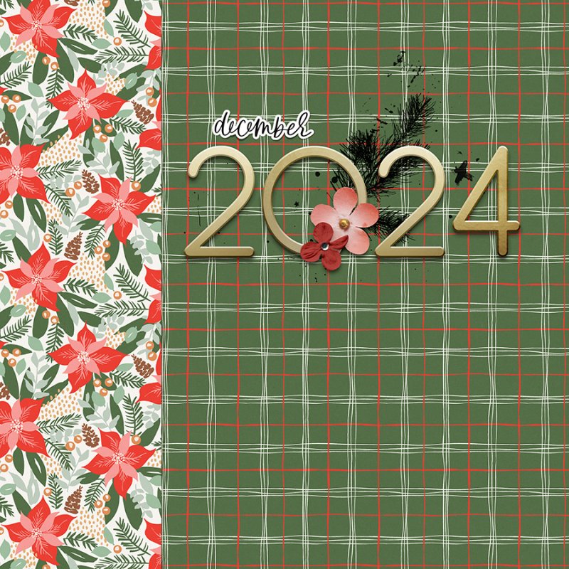 DYD2024_Cover