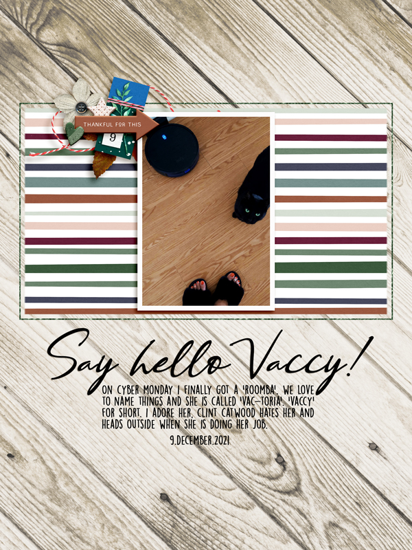 DYD_Dec21_D9_Hello Vaccy