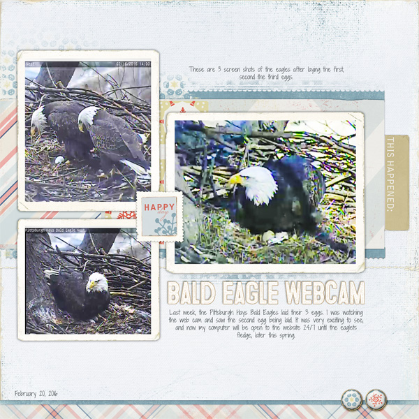 Eagle Web Cam