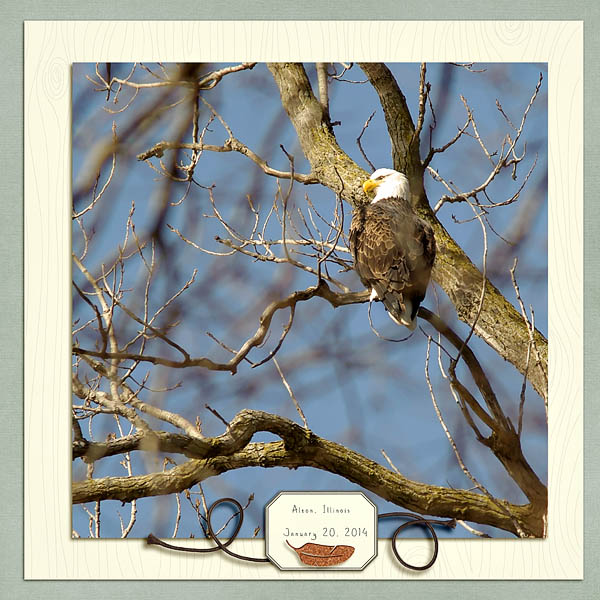 Eagle