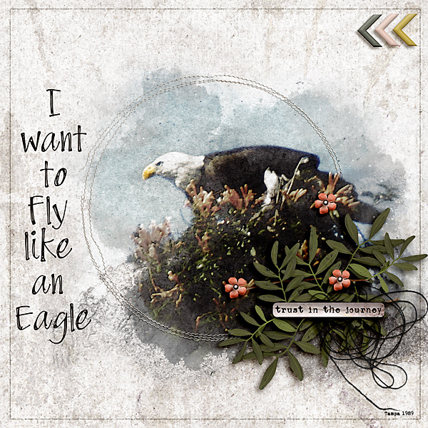 Eagle